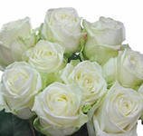 М_Рудопысова