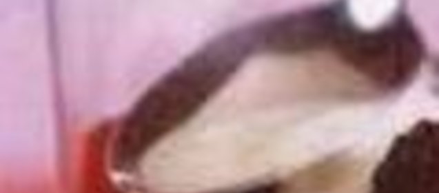 Овсяная каша для простой микроволновой печи